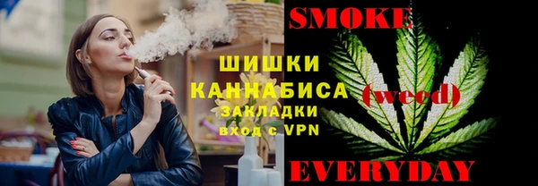 стаф Балахна