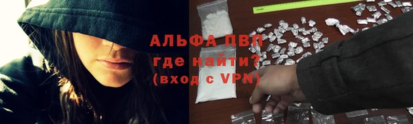 стаф Балахна