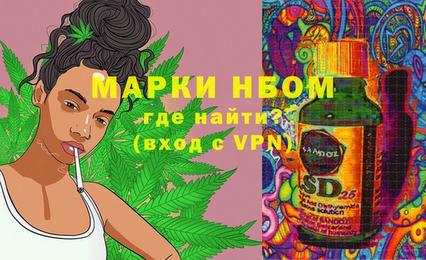 стаф Балахна
