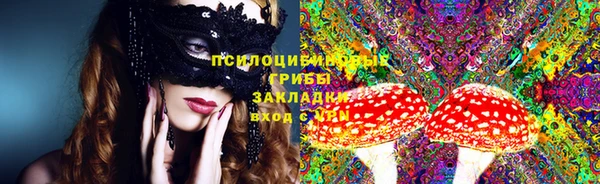 стаф Балахна