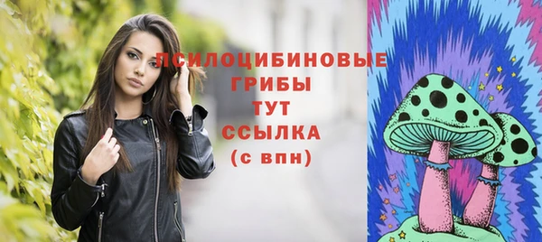 стаф Балахна