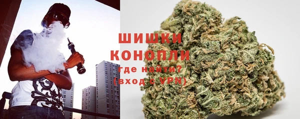 стаф Балахна