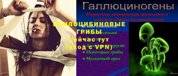 гидра Баксан