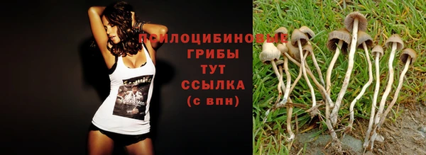 стаф Балахна