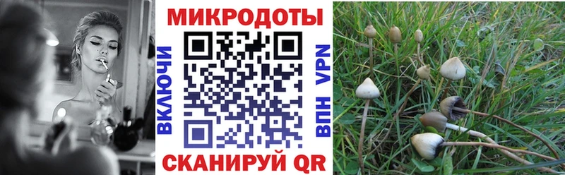 Галлюциногенные грибы мухоморы  где купить наркоту  Бородино 